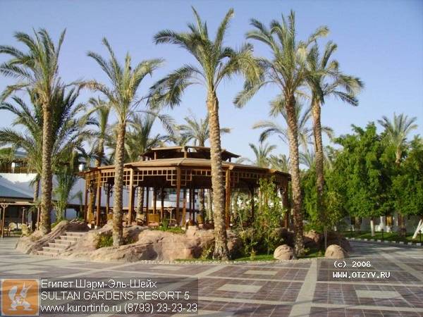 egipet -- sultan gardens resort 5